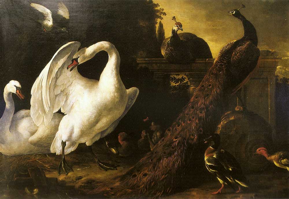 Лебеди, картины маслом