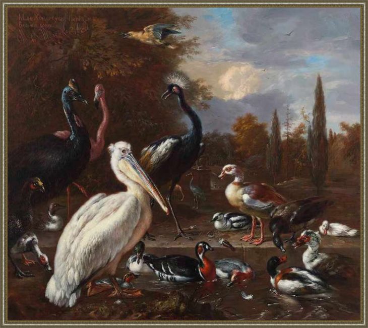 Пеликан и другие экзотические птицы в парке