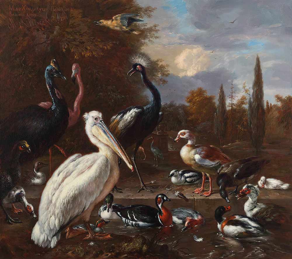 Пеликан и другие экзотические птицы в парке