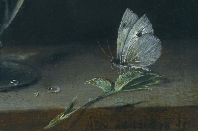Натюрморт из роз в стеклянной банке на каменном выступе с бабочкой. Фрагмент №2 Адриансен Александр