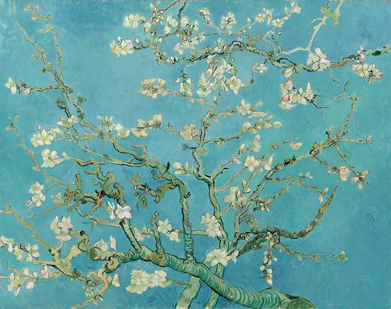 Ван Гог «Цветение ветки миндаля» картина