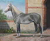 BERBER. Берберийская порода лошади