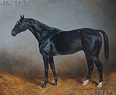 Картины лошадей. ENGLISCHES-VOLLBLUT. 50х70см. холст, масло, 2013 год.