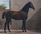 OSTPREUSSE. Рисунки лошадей из серии Лошади мира.