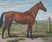 ANGLO-ARABER. Рисунки лошадей из серии Лошади мира.