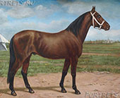AMERIKANISCHER-TRABER. Рисунки лошадей из серии Лошади мира.