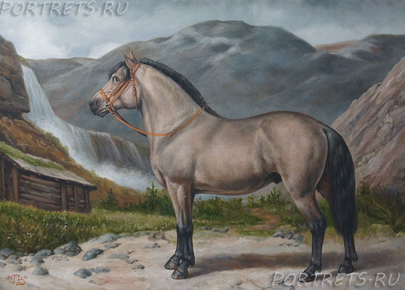 Норвежская лошадь NORWEGER(нем)