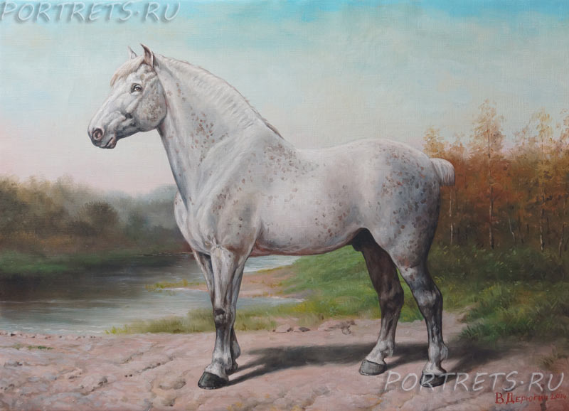 Булонская лошадь  BOULONNAIS(нем)