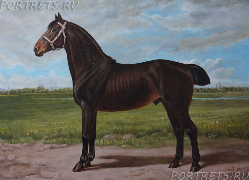 Ostfriesen (Фризская лошадь)