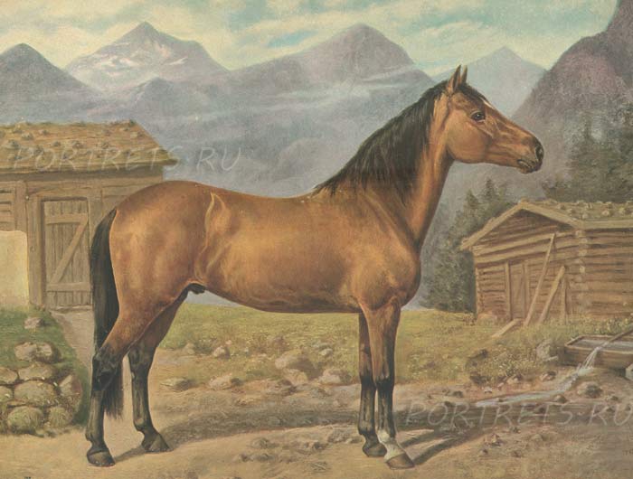Идеальная лошадь Хафлингер - HAFLINGER(нем) на картине художника