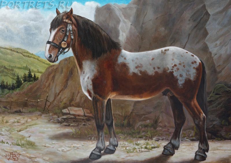 Пинцгауская лошадь PINZGAUER(нем)