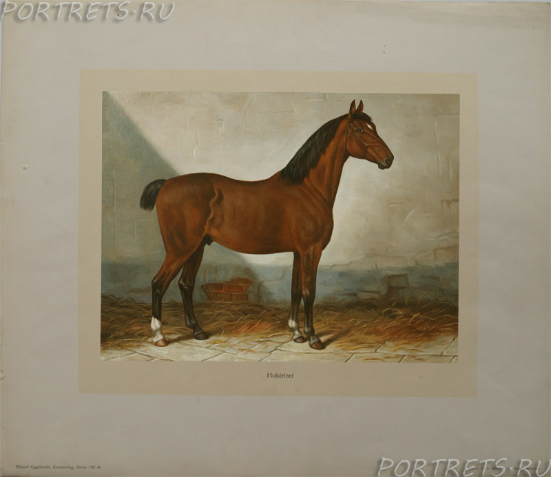 Картинка лошади (репродукция)