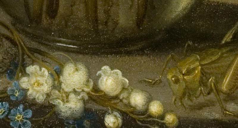 Цветы в стеклянной вазе с ракушками и насекомым. Фрагмент №1 Аст, Бальтазар ван дер