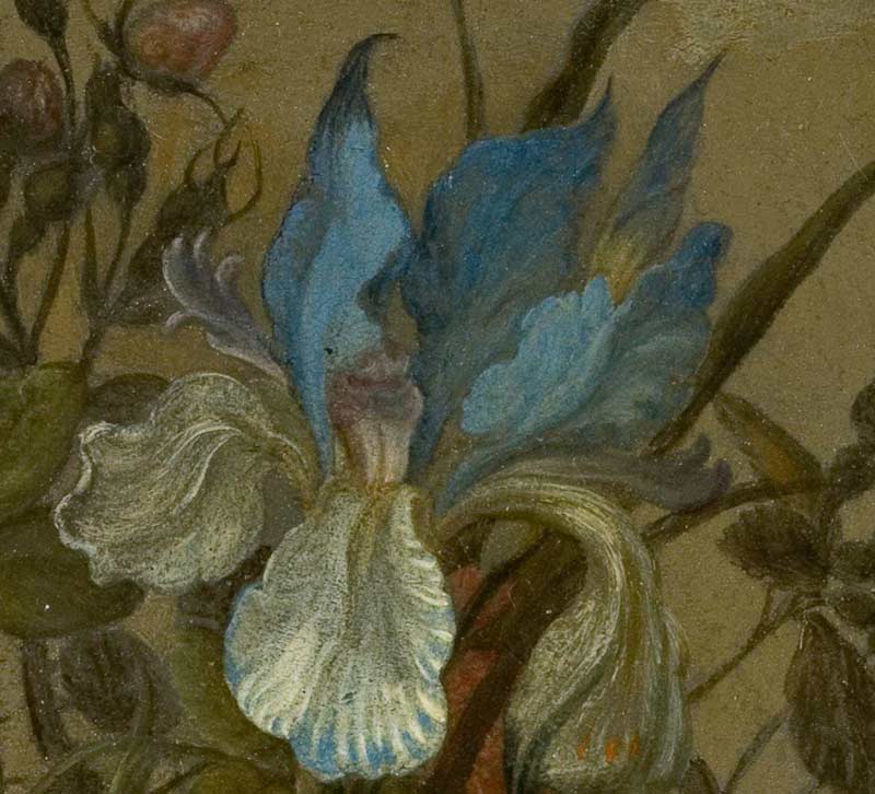 Цветы в стеклянной вазе с ракушками и насекомым. Фрагмент №3 Аст, Бальтазар ван дер