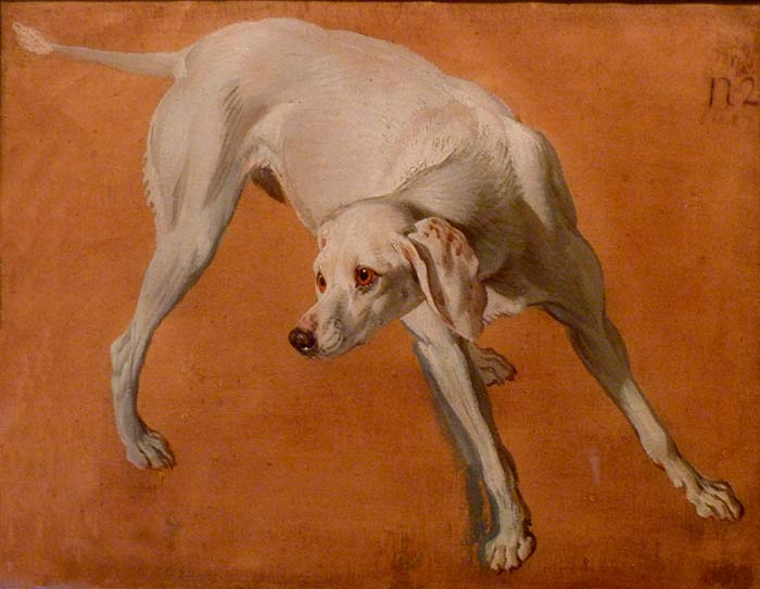 Белая собака. Депорт Франсуа