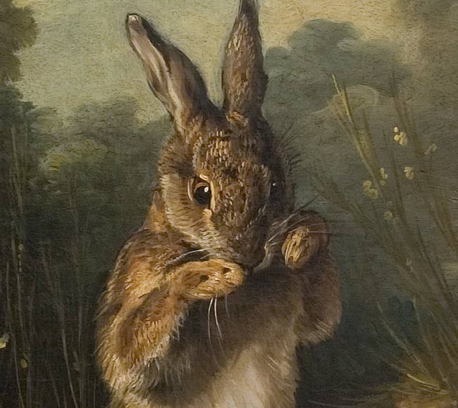 Кролики. Депорт Франсуа