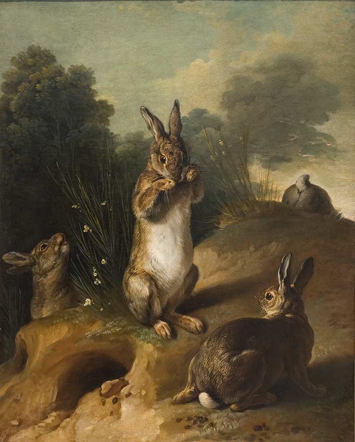 Охота. Картины художников. Депорт Франсуа. Кролики