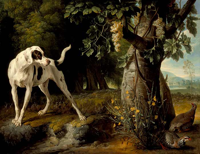 Охота. Картины художников. Депорт Франсуа. Пейзаж с собакой и куропатками