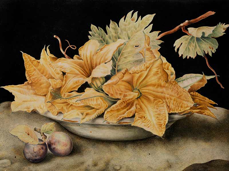 Натюрморт с цветами тыквы и виноградными листьями