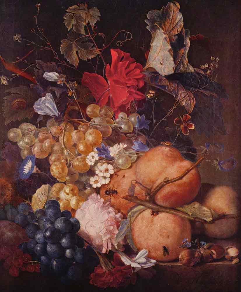 Натюрморты с цветами и фруктами. «Фрукты, цветы и насекомые»