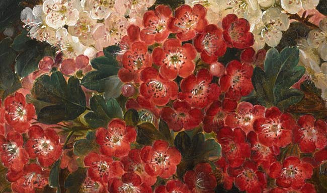Натюрморт с цветком боярышника. Йенсен Йохан Лауренс