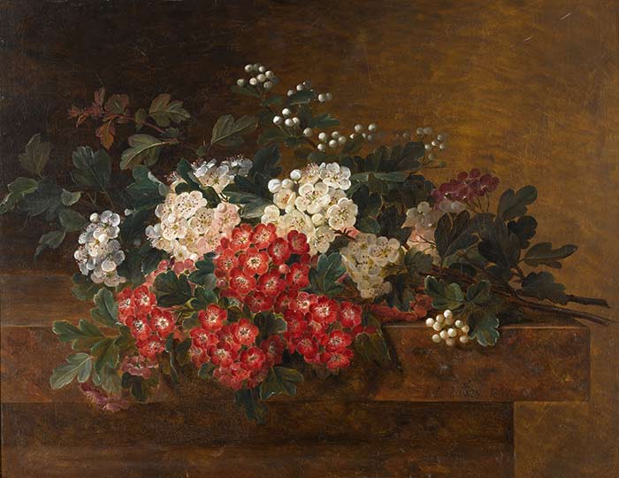 Натюрморт с цветком боярышника. Йенсен Йохан Лауренс