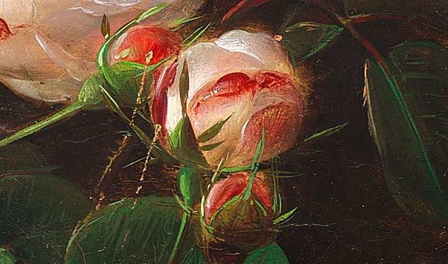 Розовые и белые розы (фрагмент картины №1). Йенсен Йохан Лауренс