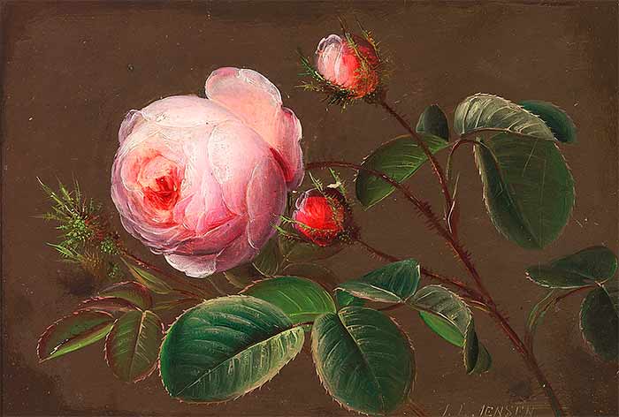 Ветка с розовыми розами. Йенсен Йохан Лауренс