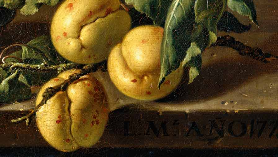 Натюрморт с тарелкой абрикосов и вишен Морелло. Фрагмент №3 Мелендес, Луис