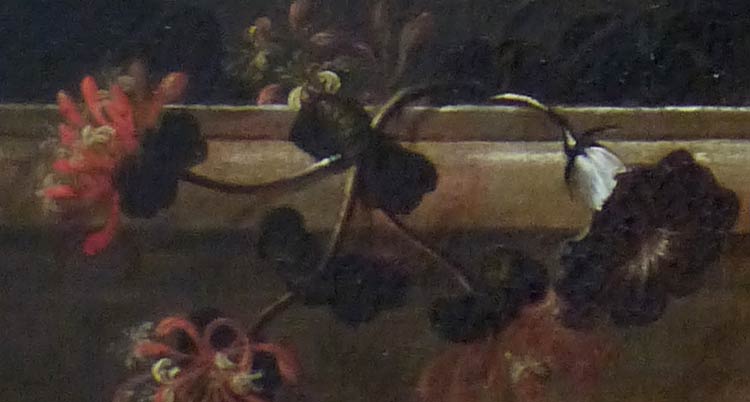 Натюрморт с цветами и горлицами. Фрагмент №3 Монье Жан-Батист