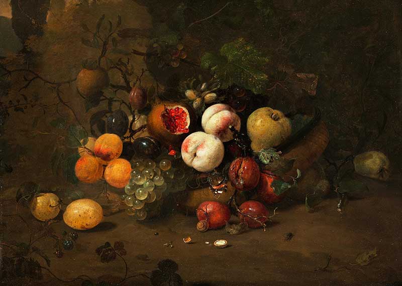 Фруктовый натюрморт с виноградом, абрикосами, сливами, гранатом, улиткой, бабочкой и жуком. Мортель Ян