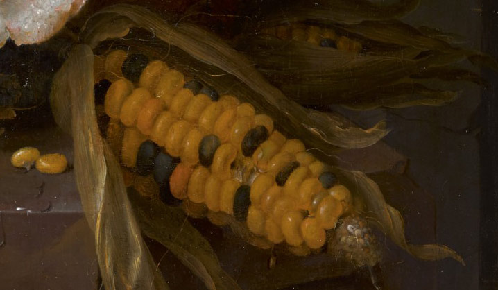 Натюрморт с кукурузой, гранатом, персиком и абрикосом. Фрагмент №1 Мортель Ян