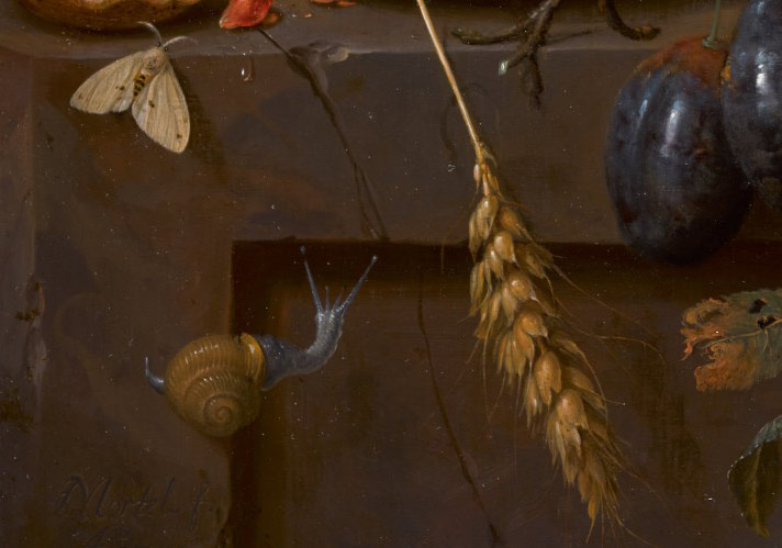 Натюрморт с кукурузой, гранатом, персиком и абрикосом. Фрагмент №3 Мортель Ян