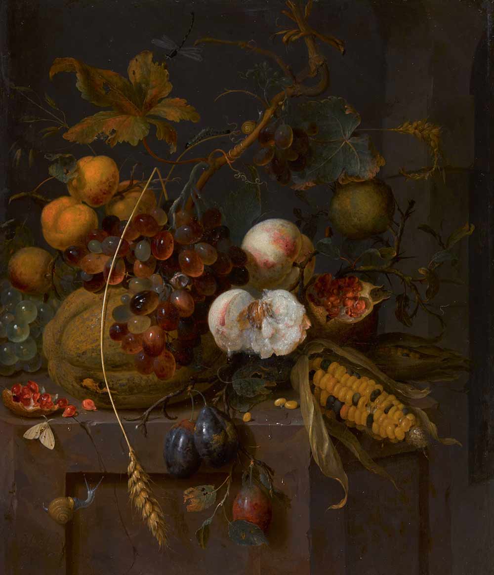 Натюрморт с кукурузой, гранатом, персиком и абрикосом. Мортель Ян