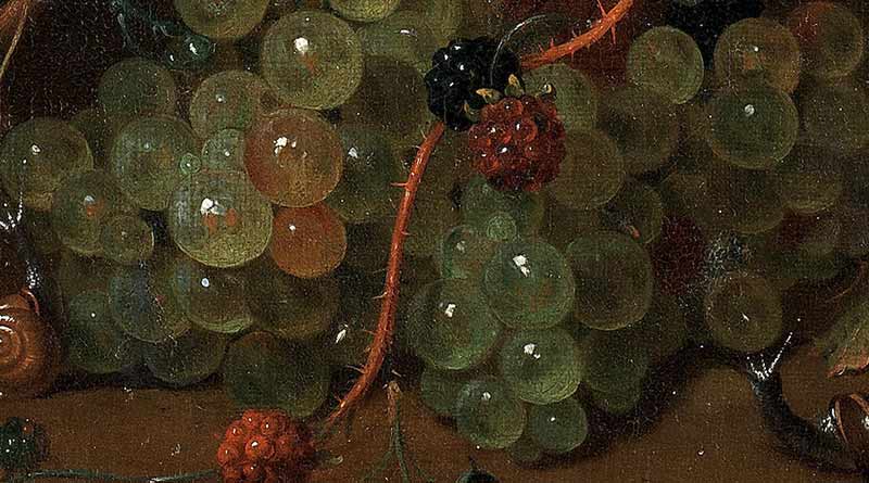 Персики, сливы и виноград с кукурузными початками, свисающими над лесной подстилкой. Фрагмент №1 Мортель Ян