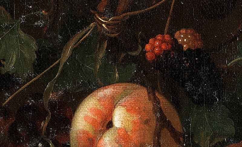 Персики, сливы и виноград с кукурузными початками, свисающими над лесной подстилкой. Фрагмент №3 Мортель Ян