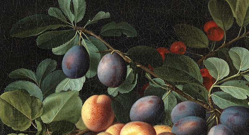 Натюрморт с фруктами. Фрагмент №2 Муайон Луиза
