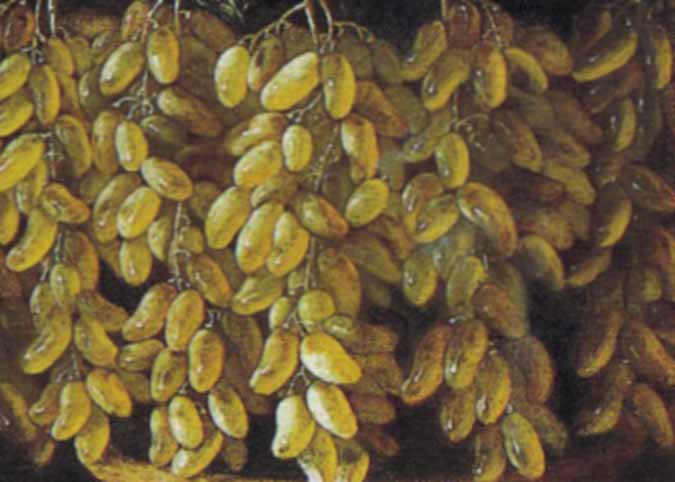 Натюрморт с развешенными виноградом и яблоками в глиняном горшке, ягоды, высыпающиеся из опрокинутой сине-белой чашки, корзина с инжиром и другими плодами на фоне пейзажа. Фрагмент №1 неизвестный художник