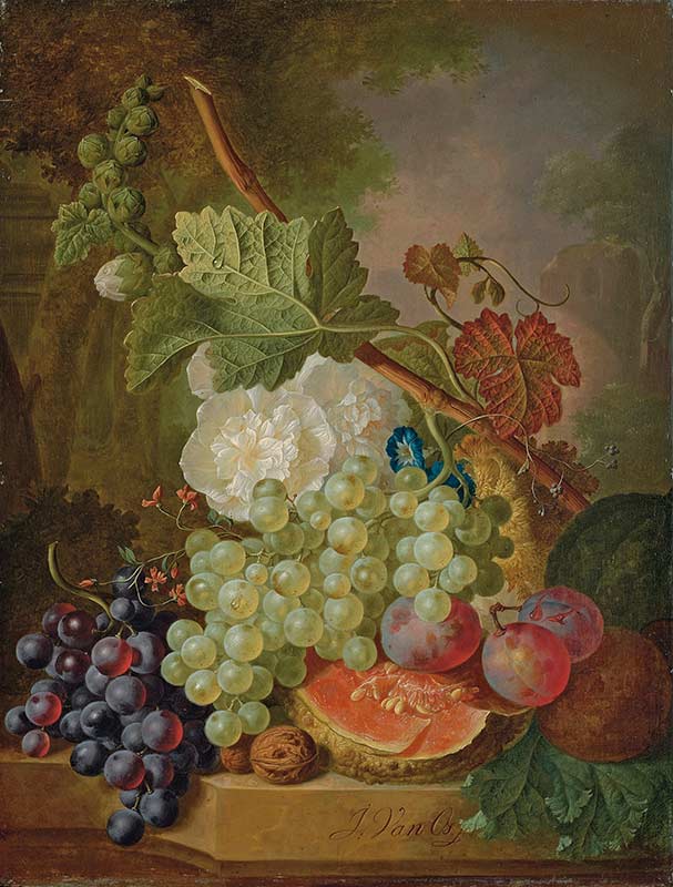 Цветы, виноград, сливы, грецкие орехи и дыня на каменном выступе