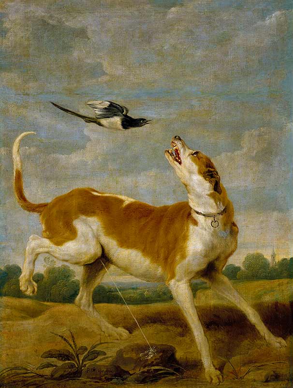 Музей Прадо, картины: Собака и сорока