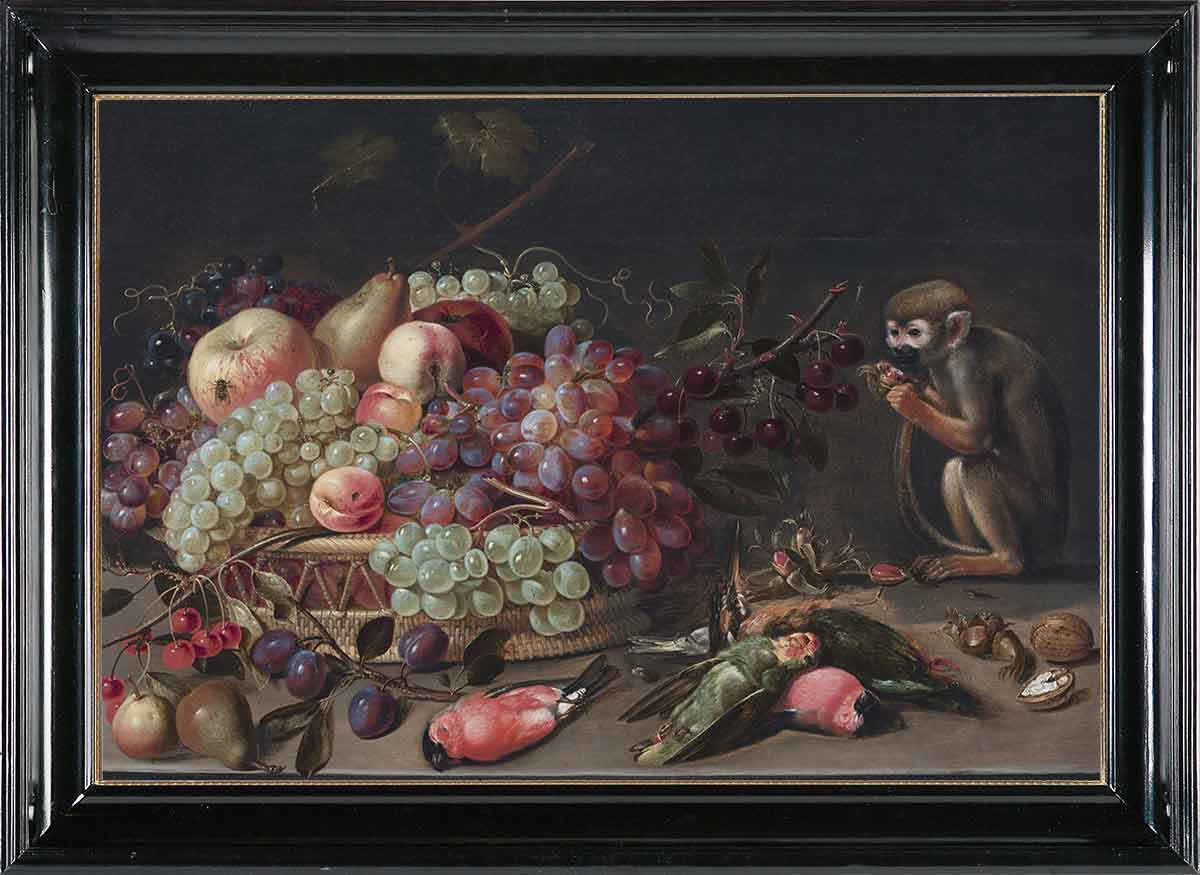«Натюрморт с фруктами, мертвыми птицами и обезьяной» в раме. Петерс, Клара