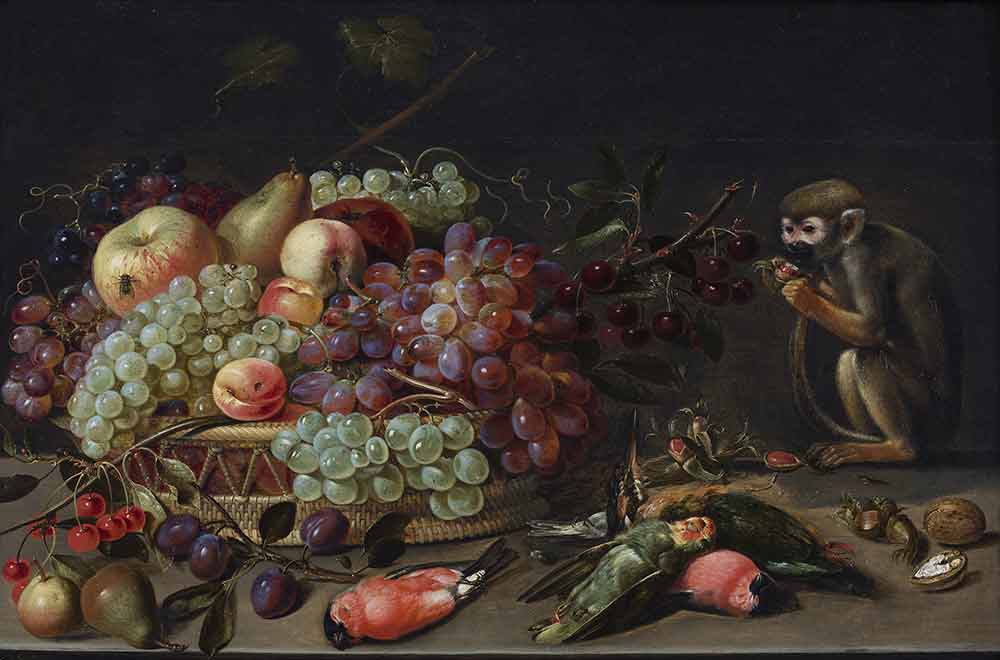 Натюрморт с фруктами, мертвыми птицами и обезьяной. Петерс, Клара
