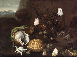 Порпора, Паоло. Лягушки, черепаха и ящерица в лесу с ракушками и бабочками