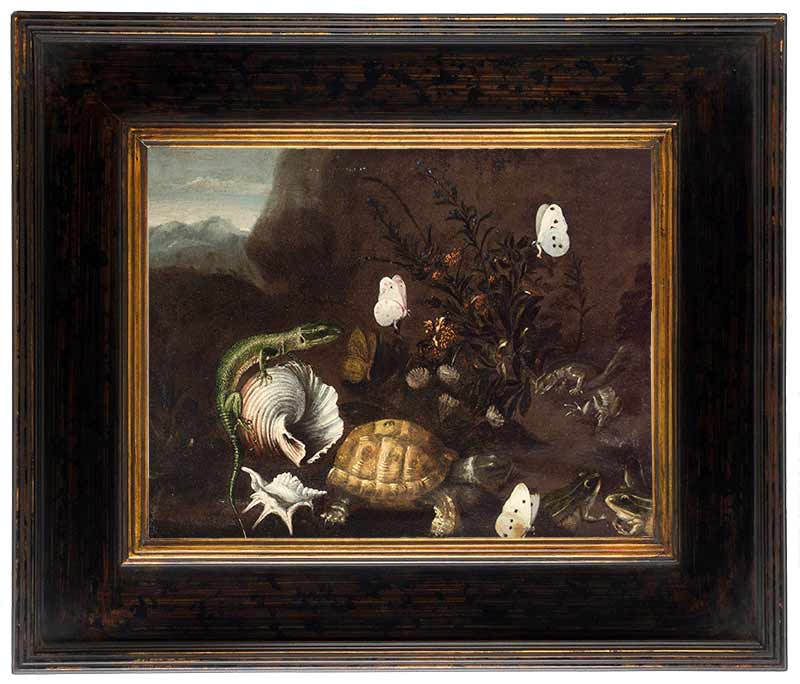 «Лягушки, черепаха и ящерица в лесу с ракушками и бабочками» в раме. Порпора, Паоло