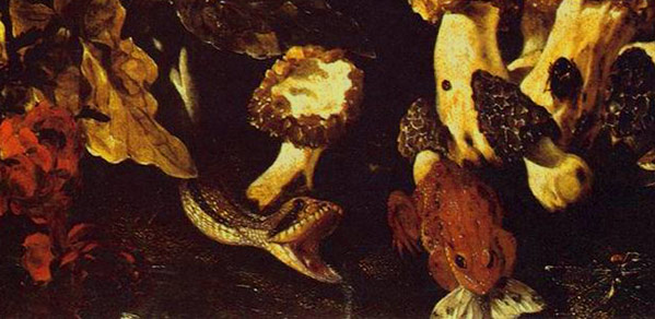 Натюрморт с грибами. Фрагмент №1 Порпора, Паоло