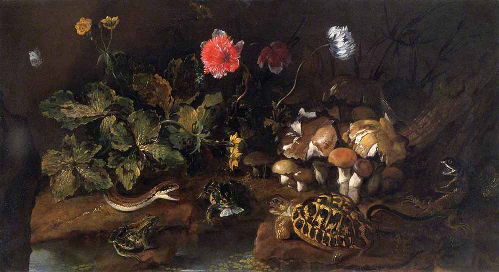 Лесные ягоды с ужом, ящерицей, черепахой и бабочками. Порпора, Паоло