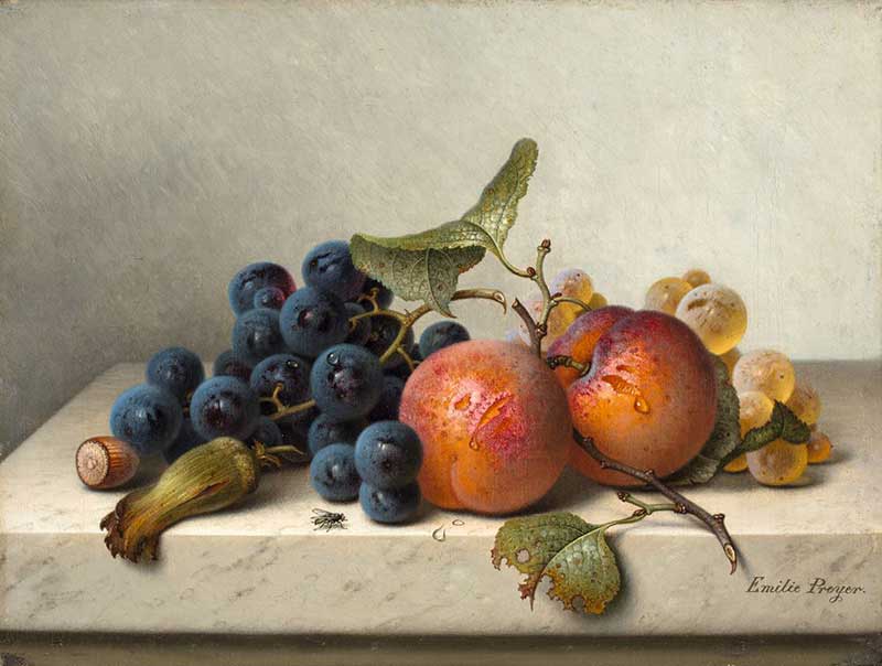 Фруктовый натюрморт с синим и белым виноградом, двумя абрикосами на ветке и двумя фундуком