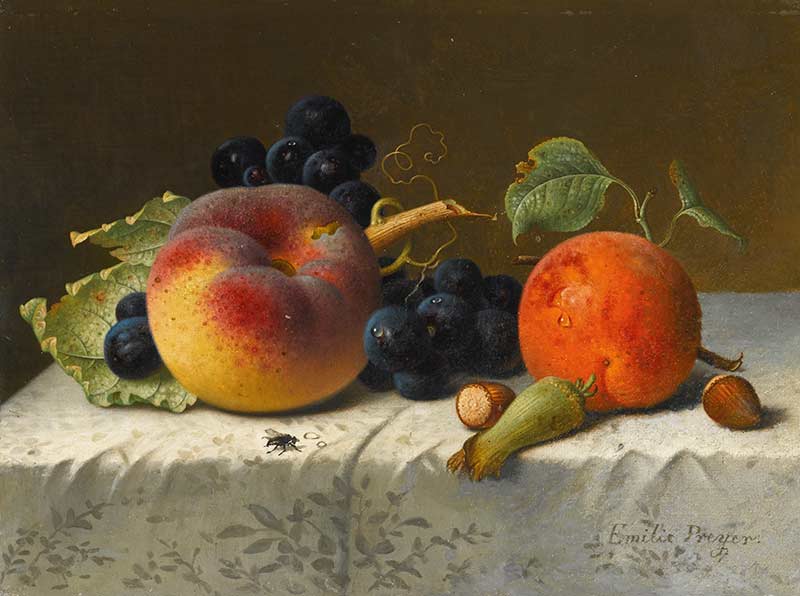 Натюрморт с персиком, абрикосом, виноградом и фундуком на скатерти