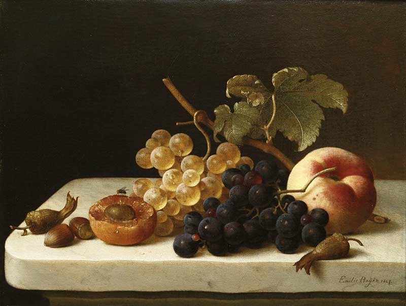 Виноград, фундук, абрикос и персик на уступе с мухой