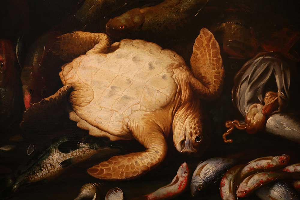 Натюрморт с рыбой и черепахой. Рекко, Джузеппе